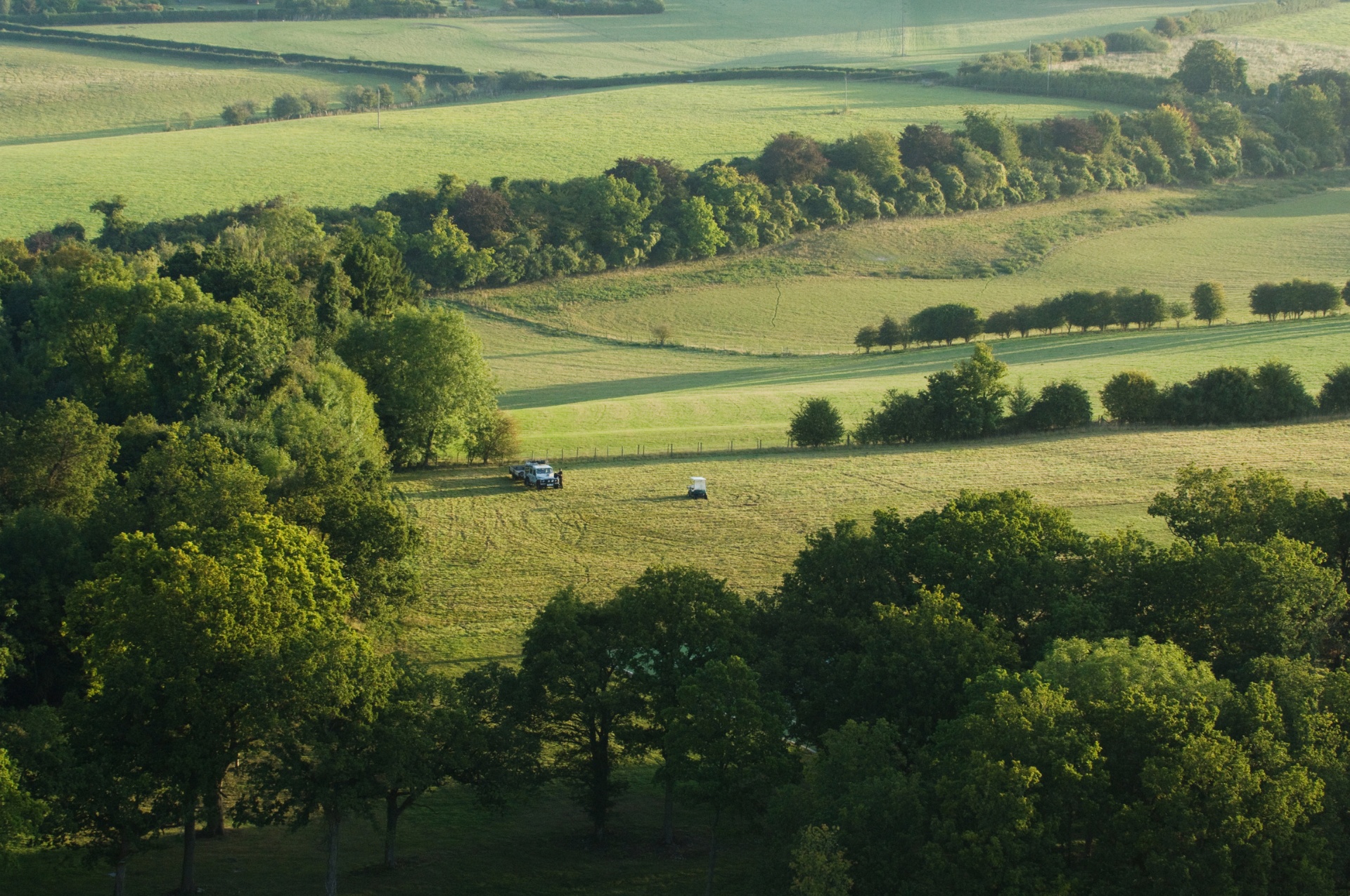 Rolling Hampshire downland at golden hour, Marshcourt estate